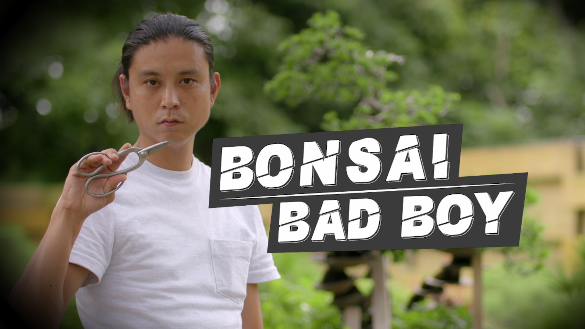 Bonsaï Bad Boy