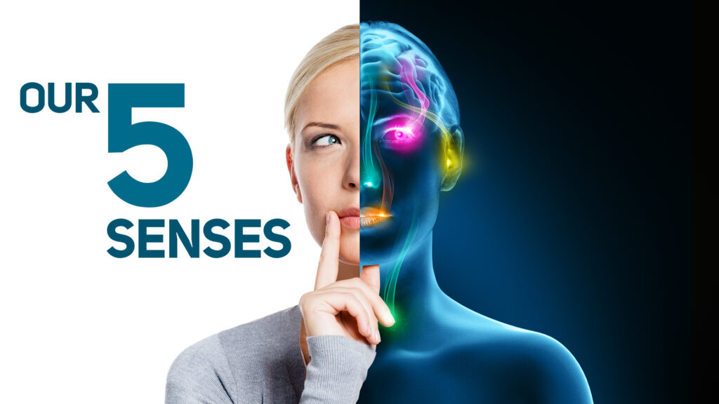 Our Five Senses