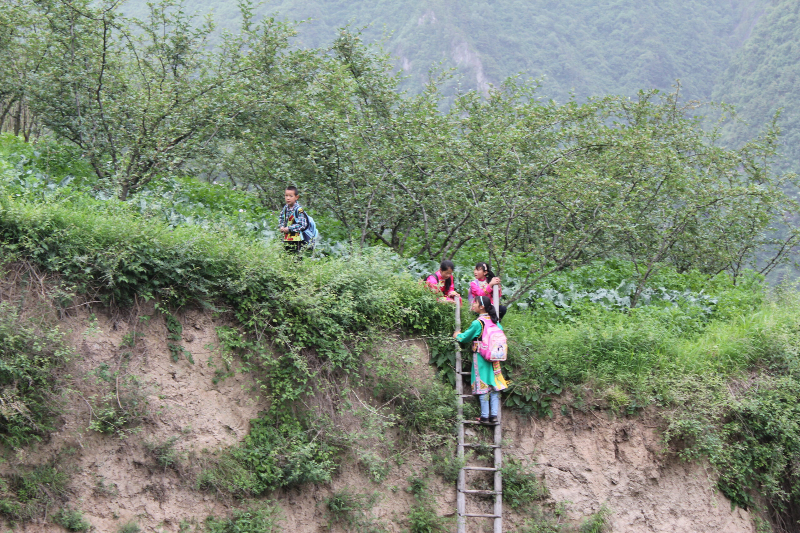 Jiaojiao, China