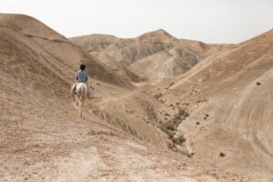 Youssef, West Bank