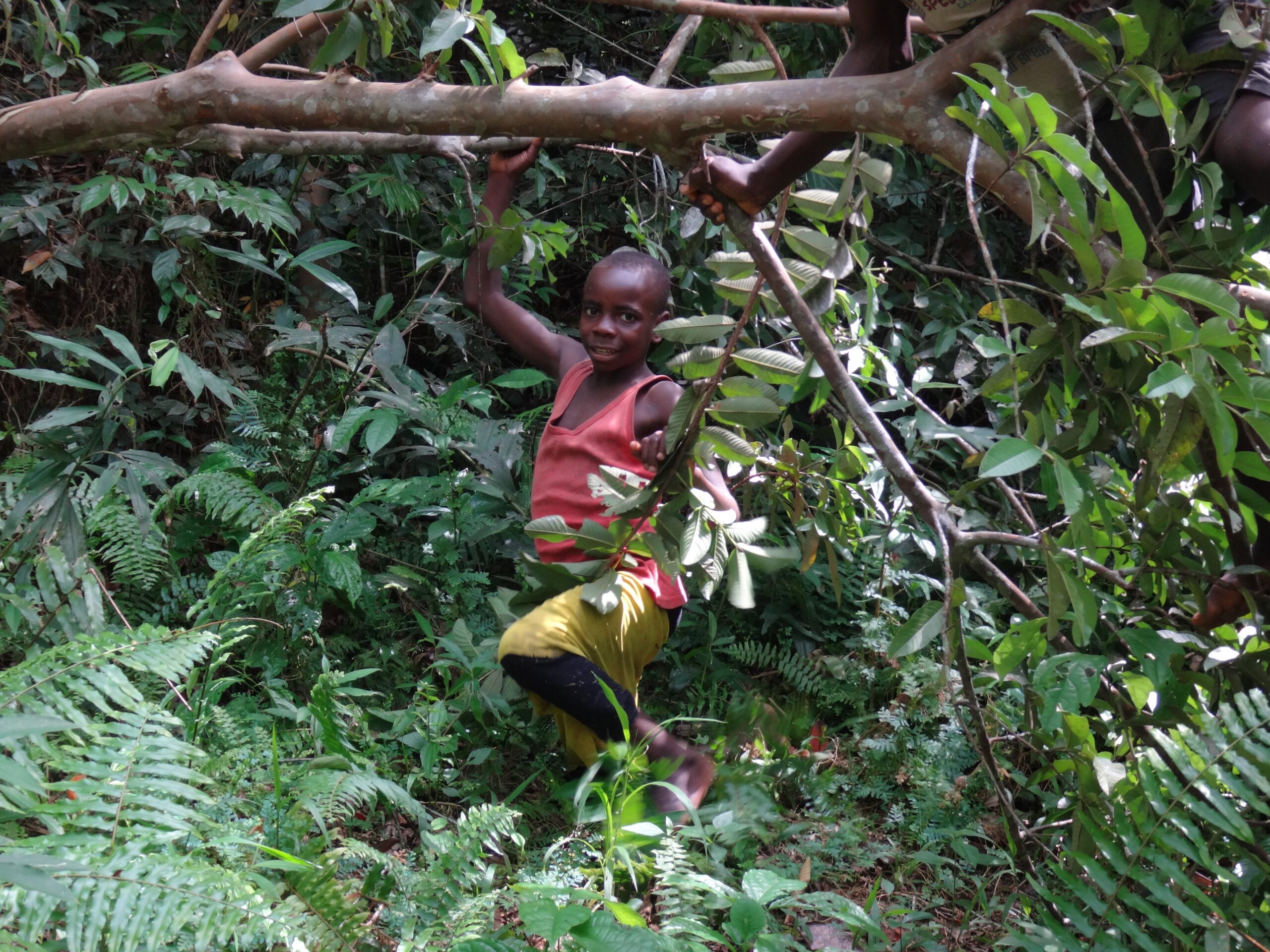 Mabally, Cameroon