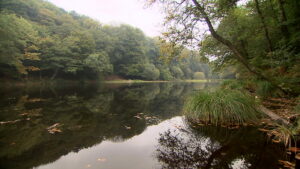 Bretagne - Etang de Beaucours