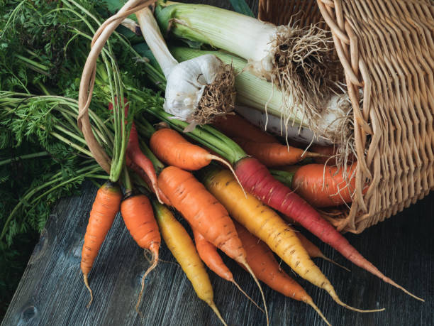 basket of carrots and leeks
